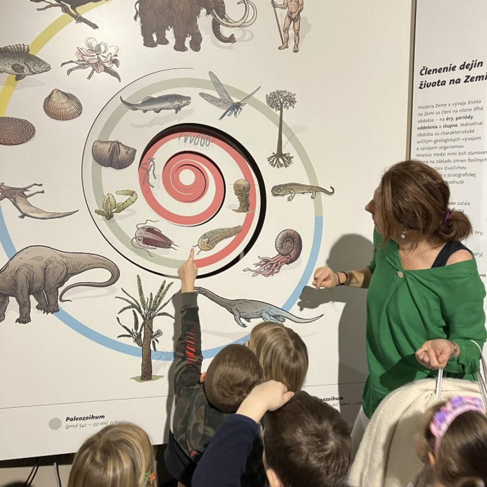 Dinosaur Trip to Museum