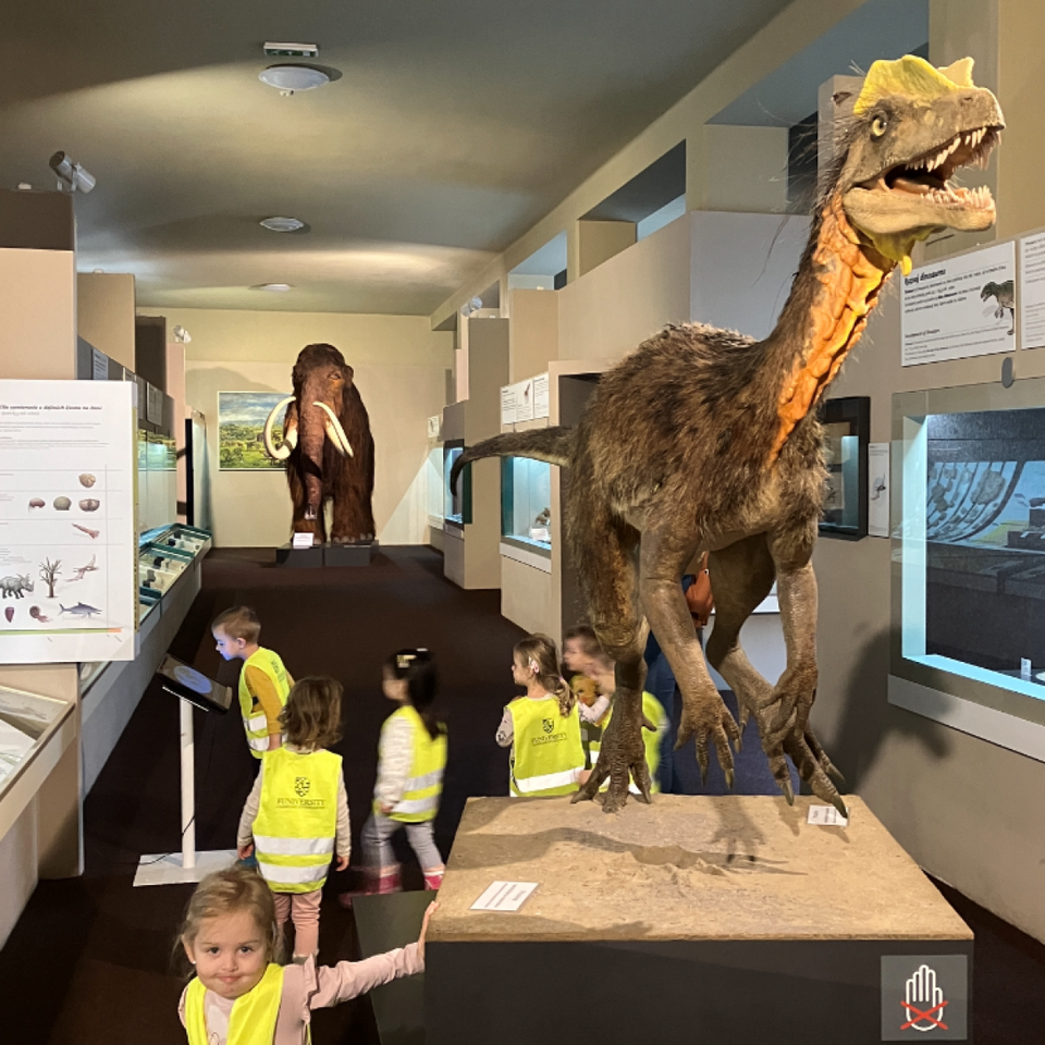 Dinosaur Trip to Museum