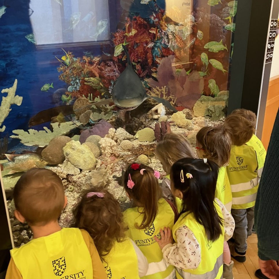 Dinosaur Trip to Museum