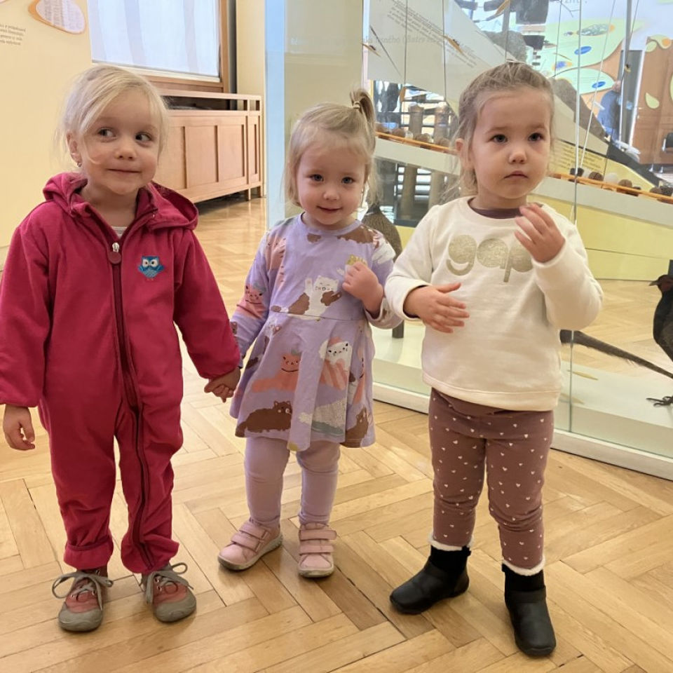 Dinosaur Trip to Museum