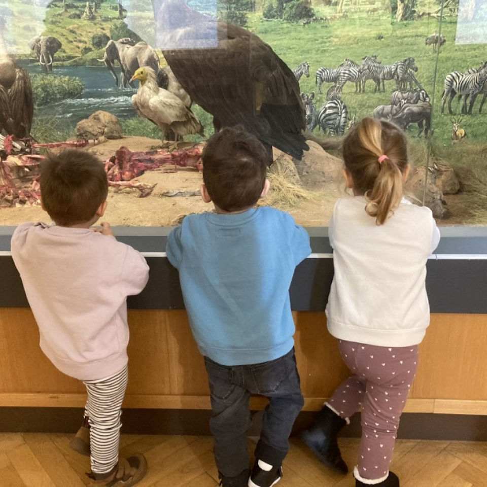 Dinosaur Trip to Museum