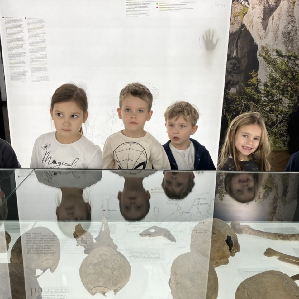 Dinosaur Trip to Museum