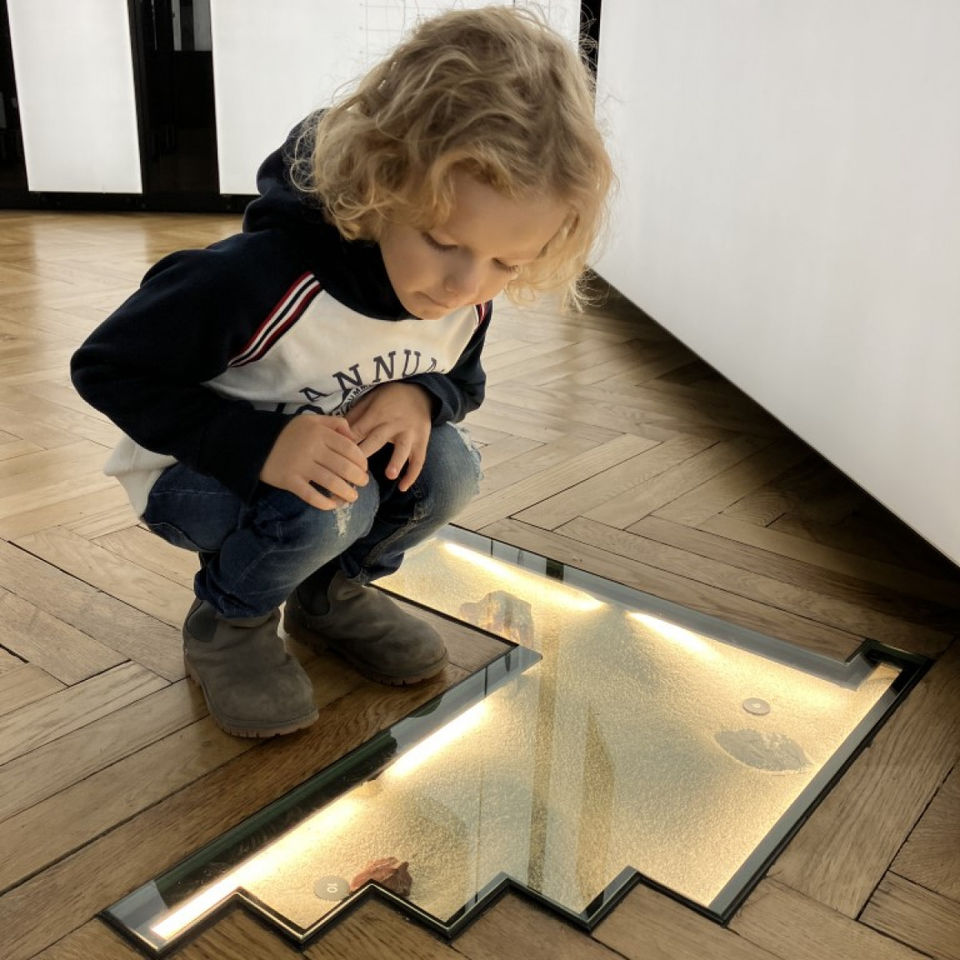 Dinosaur Trip to Museum