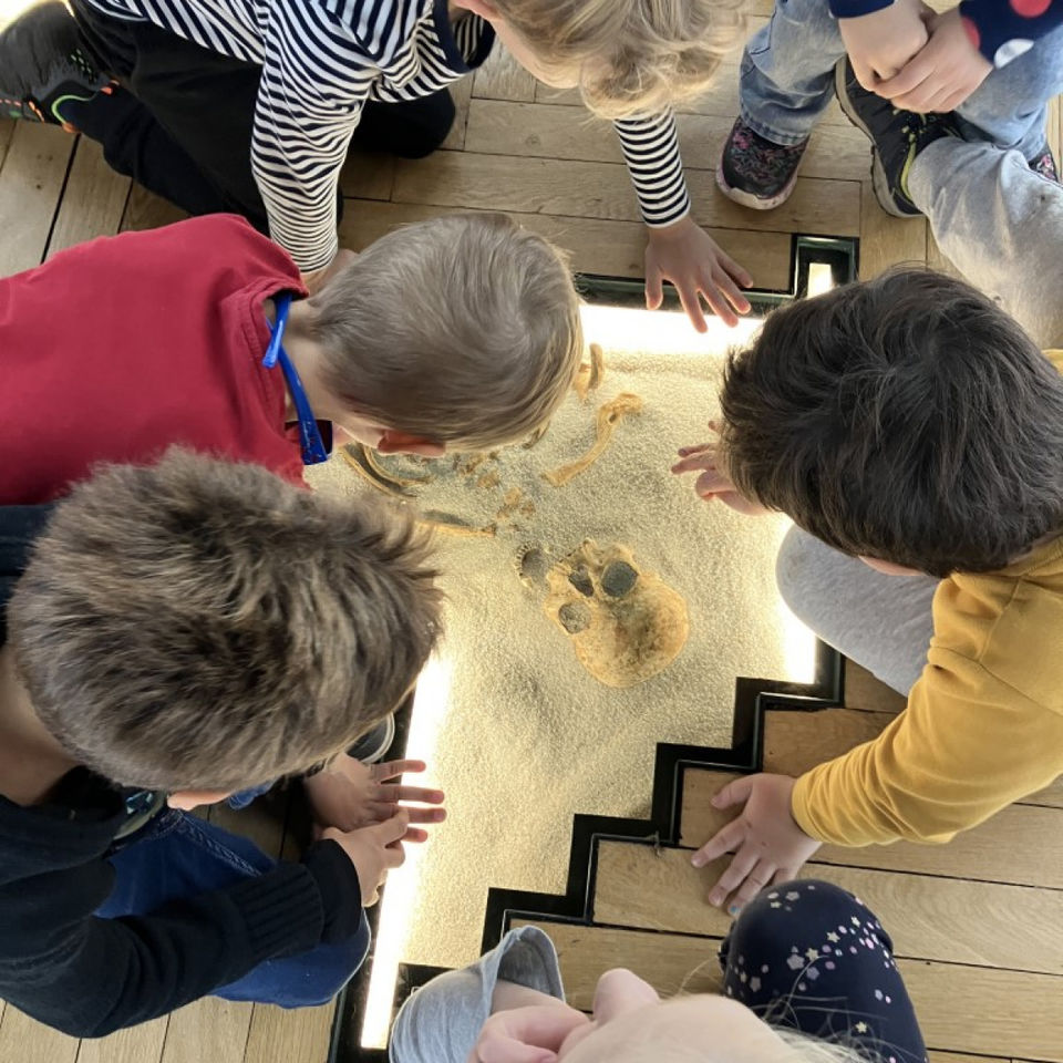 Dinosaur Trip to Museum