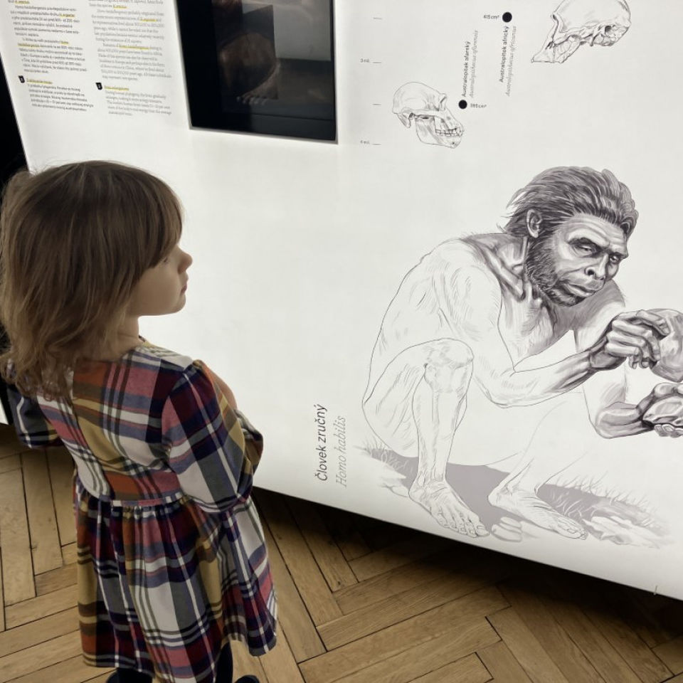 Dinosaur Trip to Museum