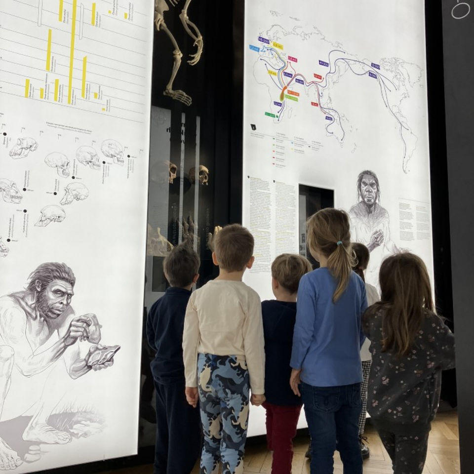 Dinosaur Trip to Museum