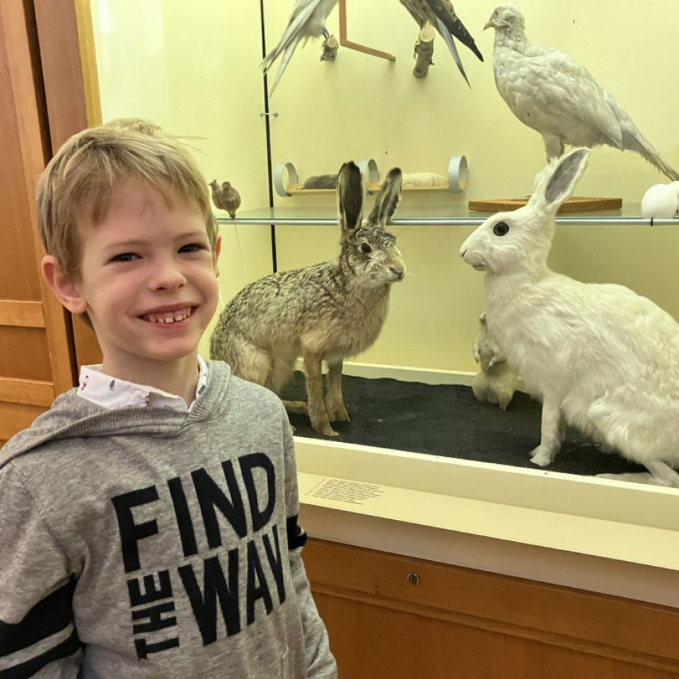 Dinosaur Trip to Museum