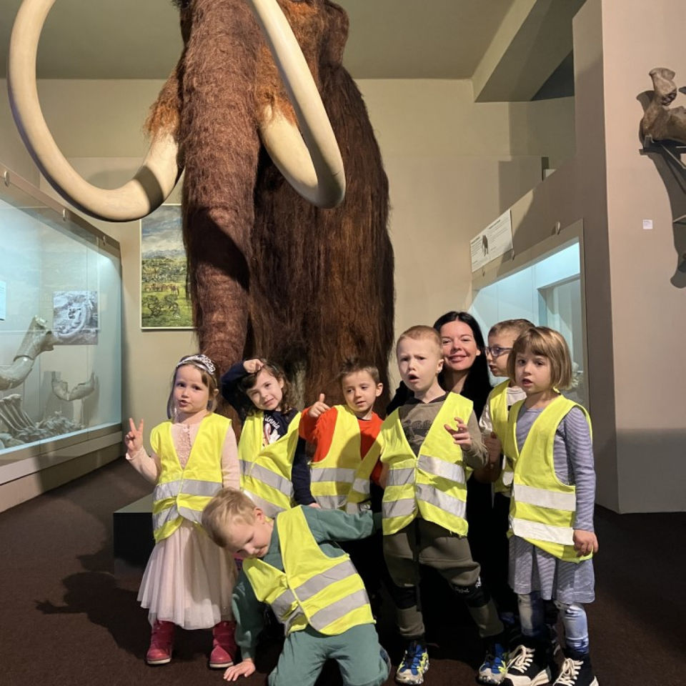 Dinosaur Trip to Museum