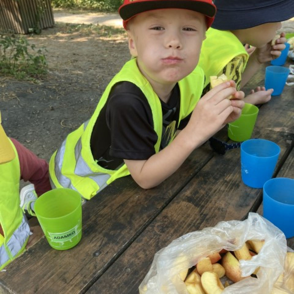 Lesné dobrodružstvo