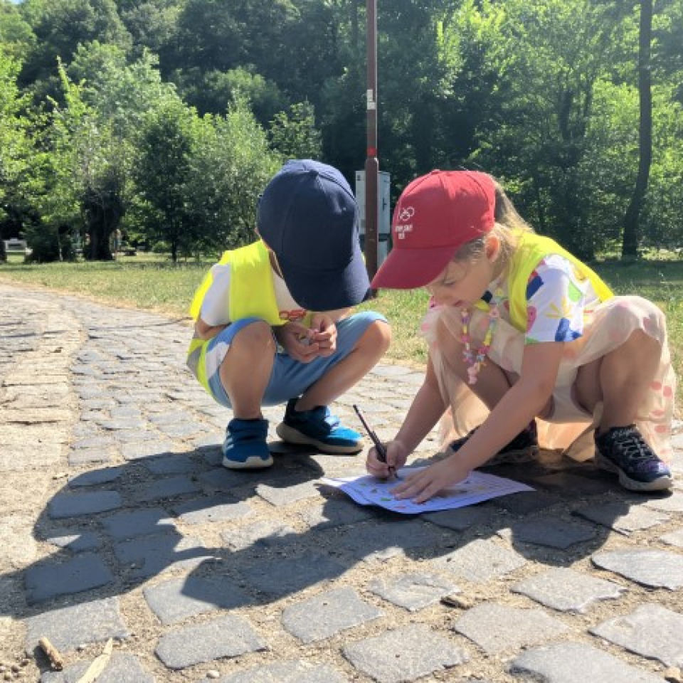 Lesné dobrodružstvo