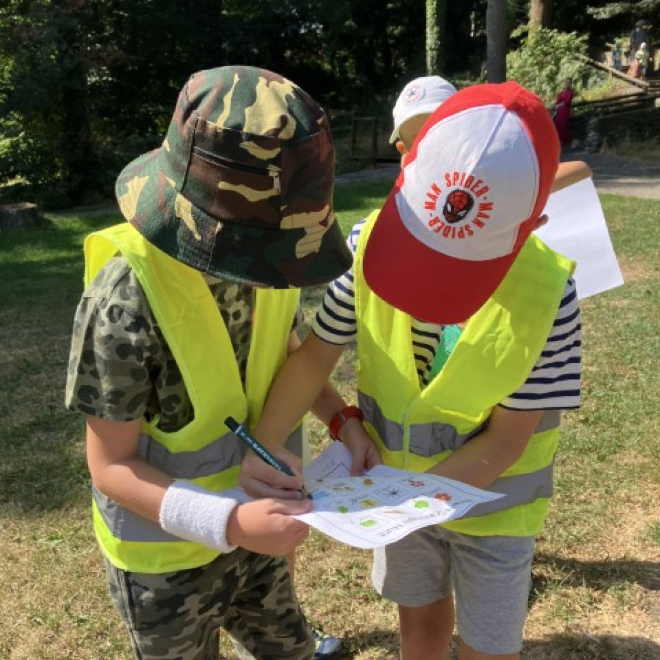 Lesné dobrodružstvo