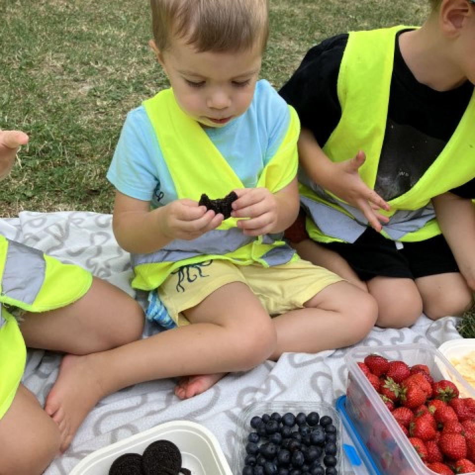 Lesné dobrodružstvo