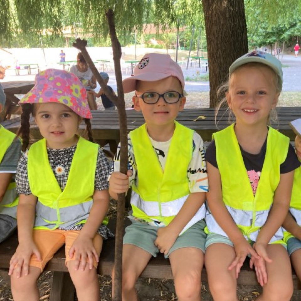 Lesné dobrodružstvo