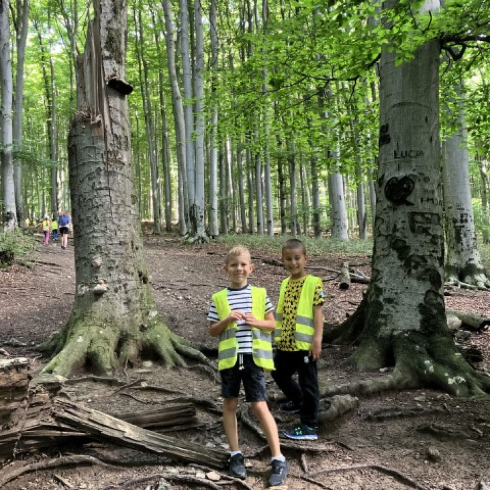 Lesné dobrodružstvo