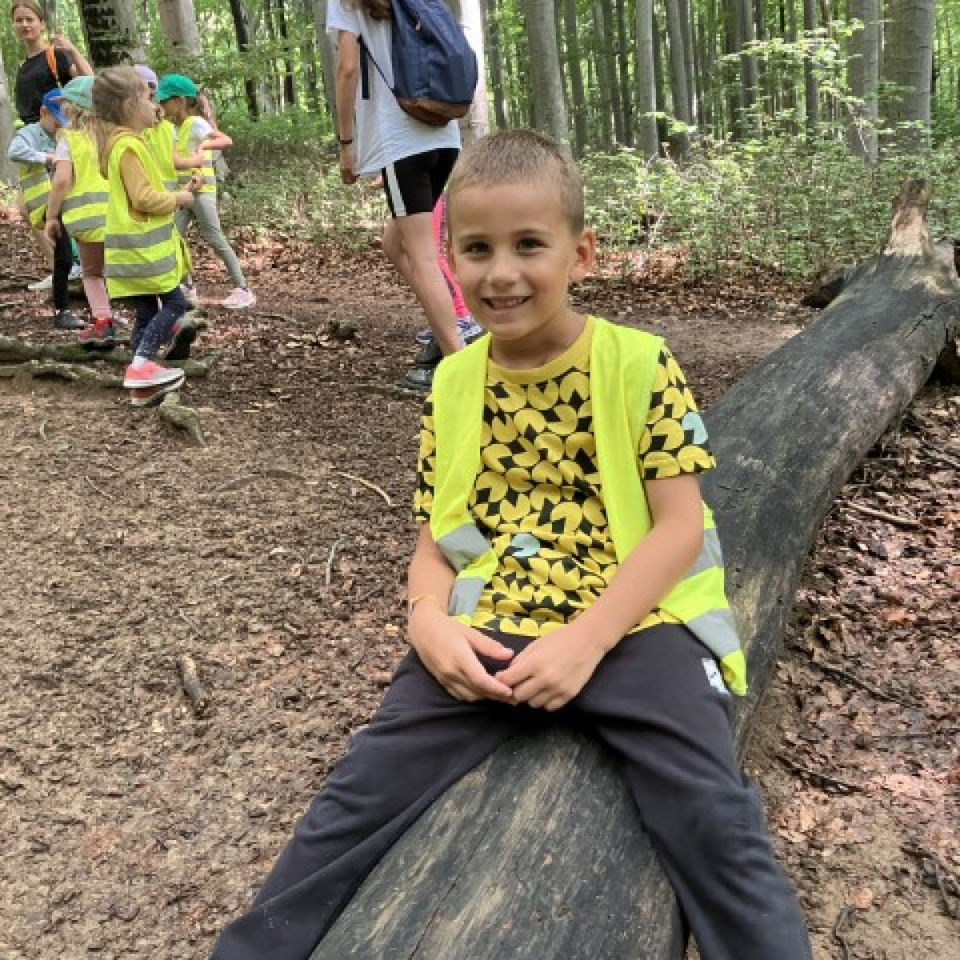 Lesné dobrodružstvo