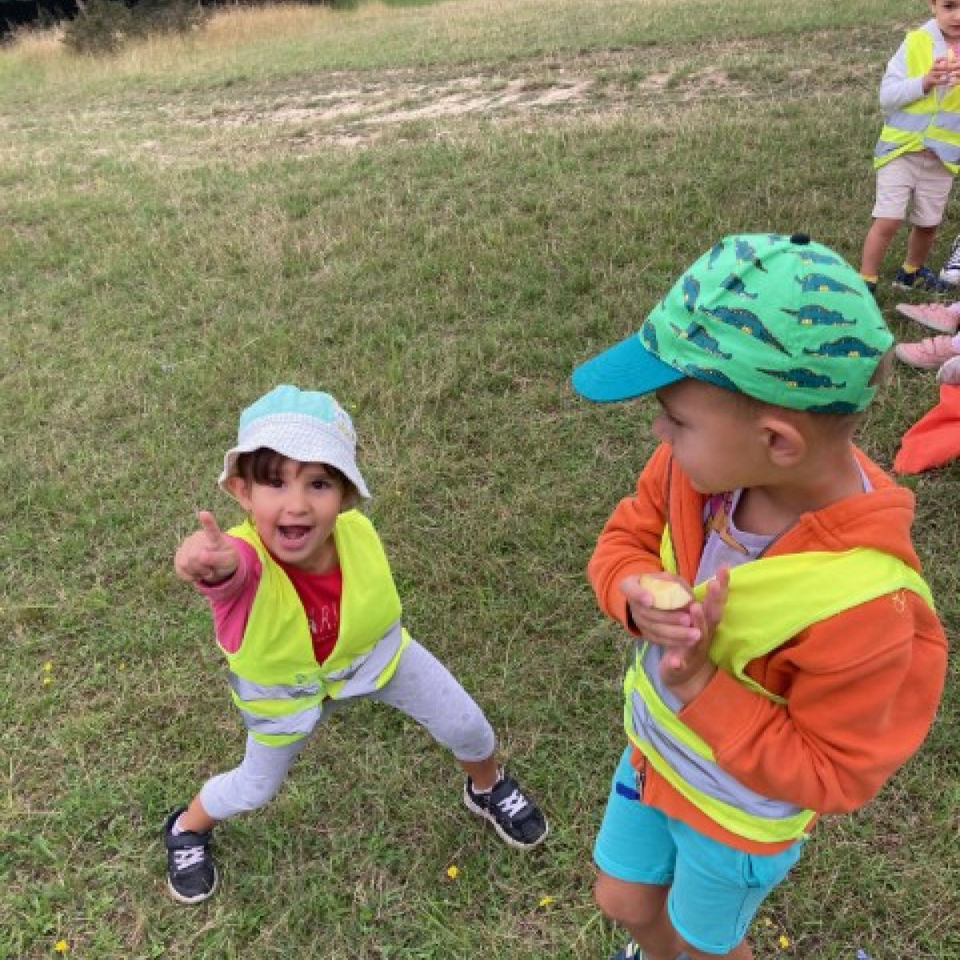 Lesné dobrodružstvo