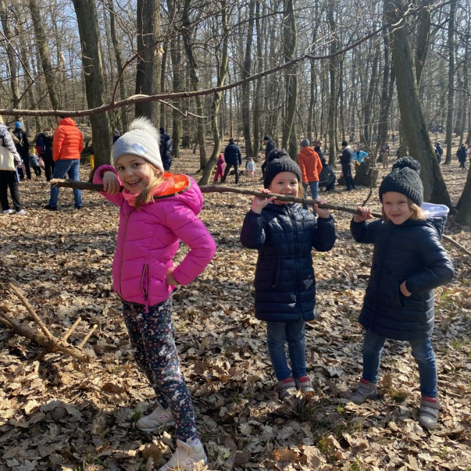 Forest school with CIS