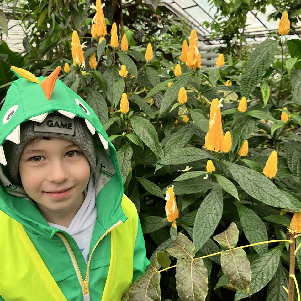 I Spy - Botanical Garden