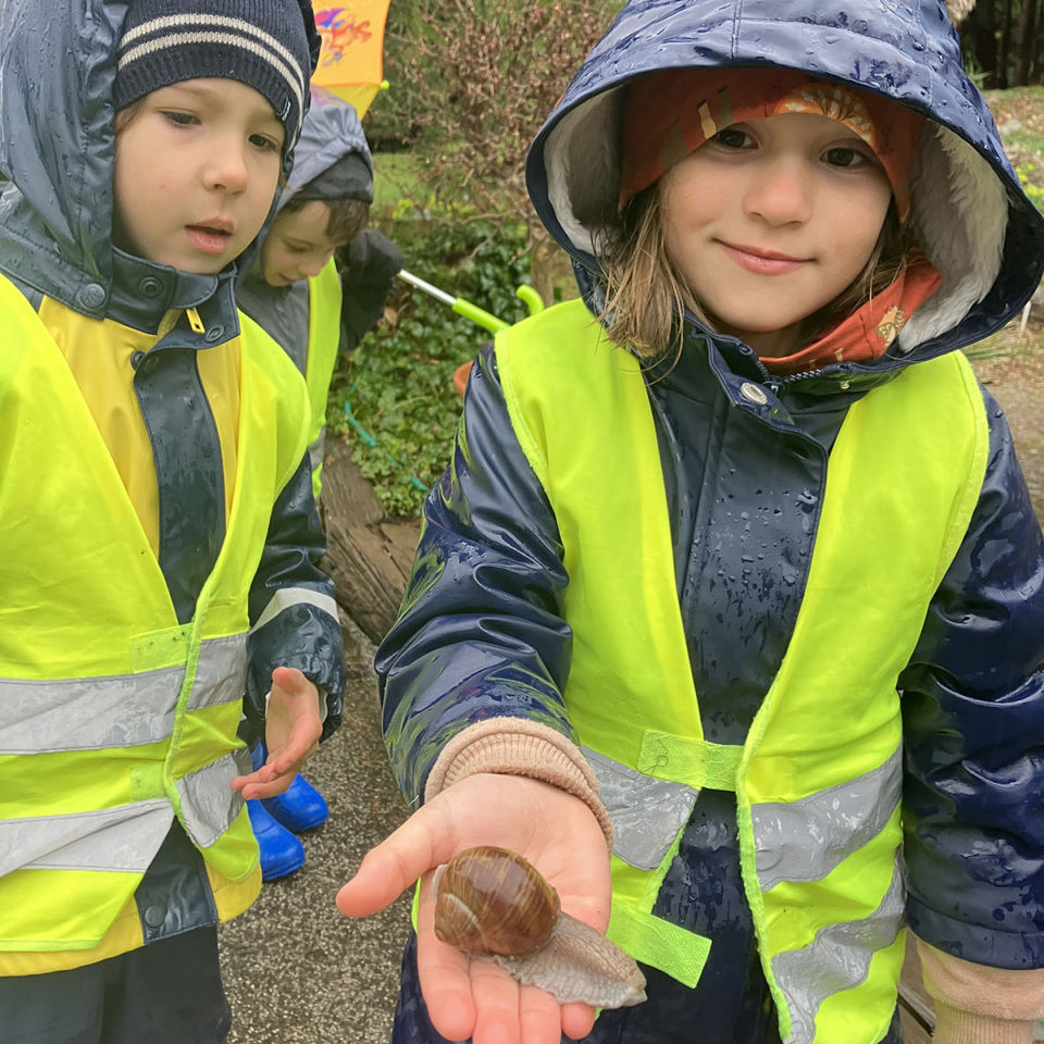 I Spy - Botanical Garden