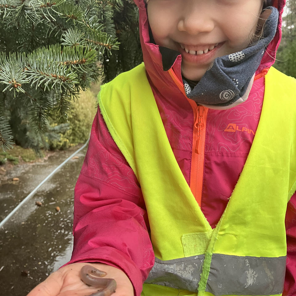 I Spy - Botanical Garden