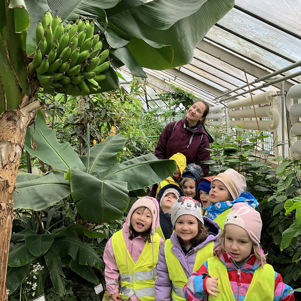 I Spy - Botanical Garden