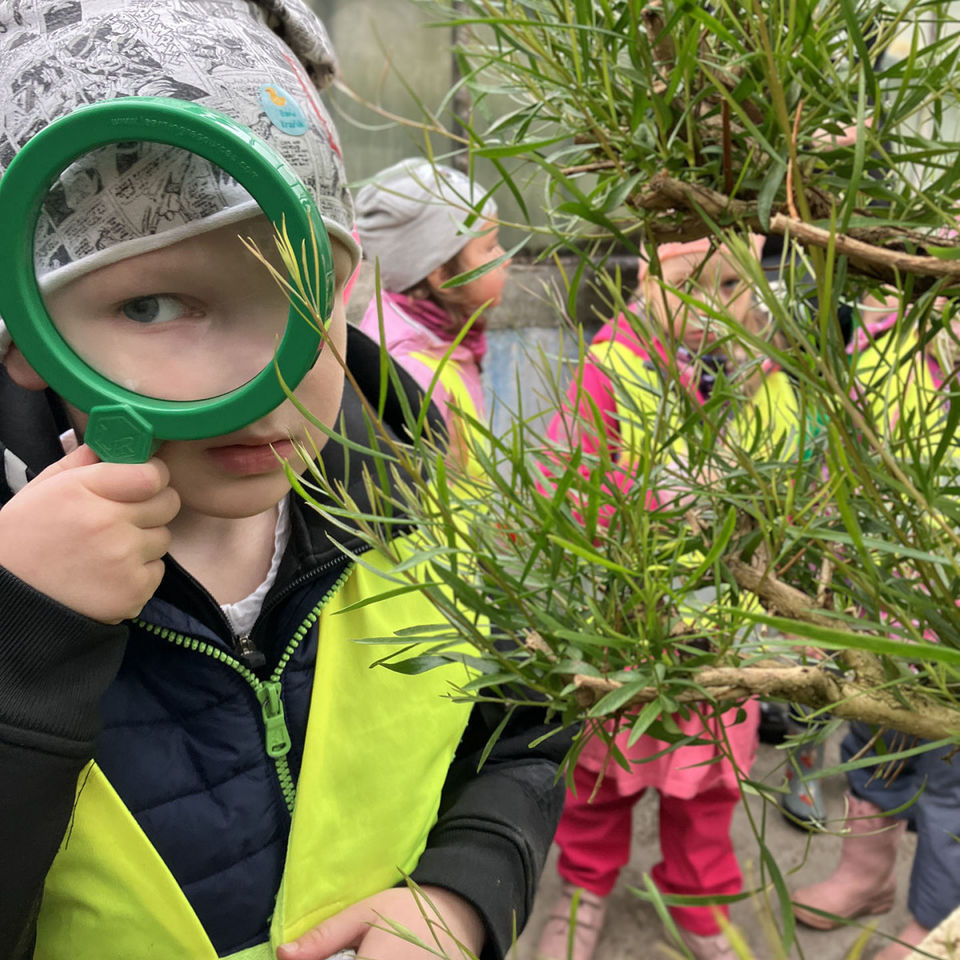 I Spy - Botanical Garden