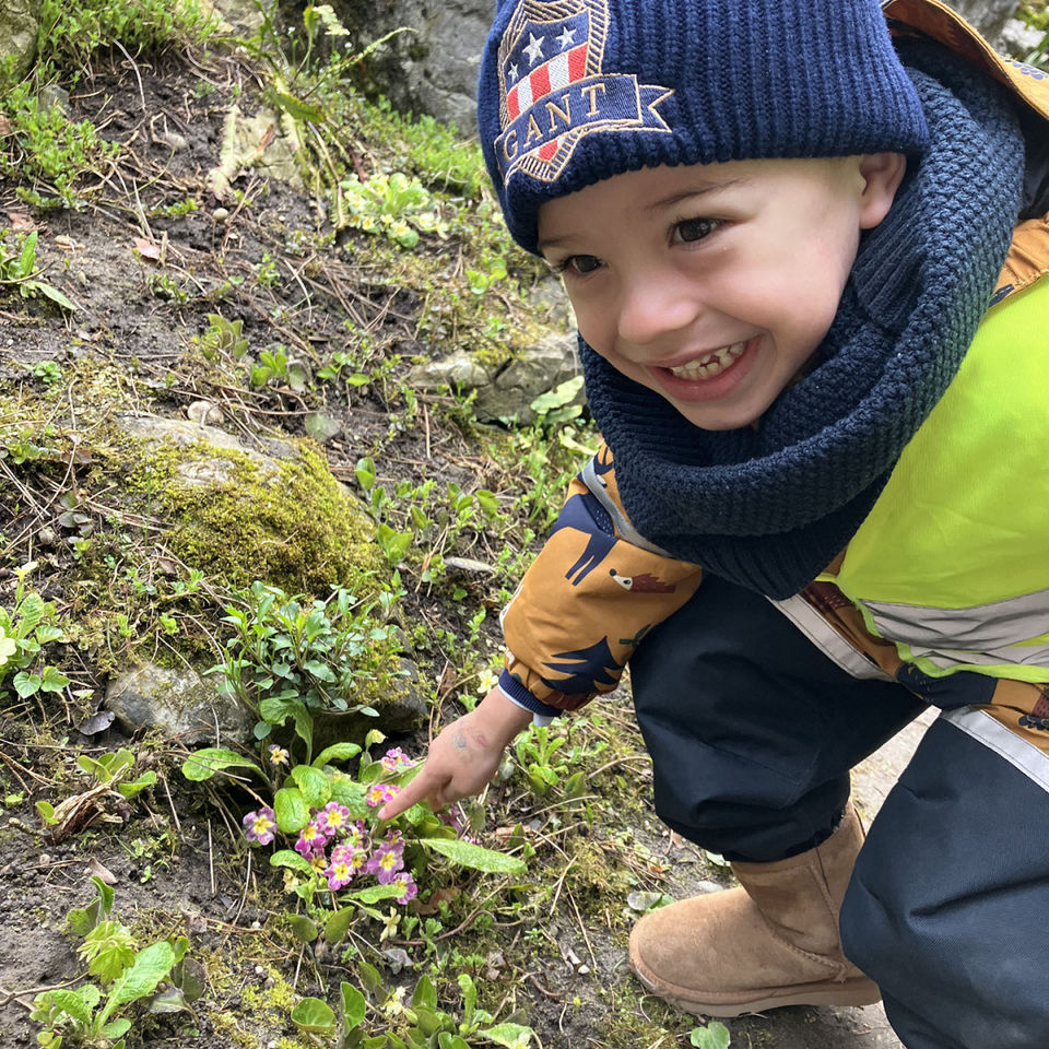 I Spy - Botanical Garden