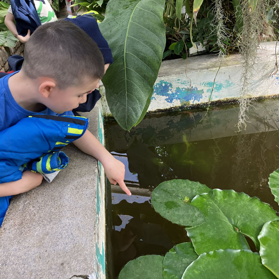 I Spy - Botanical Garden