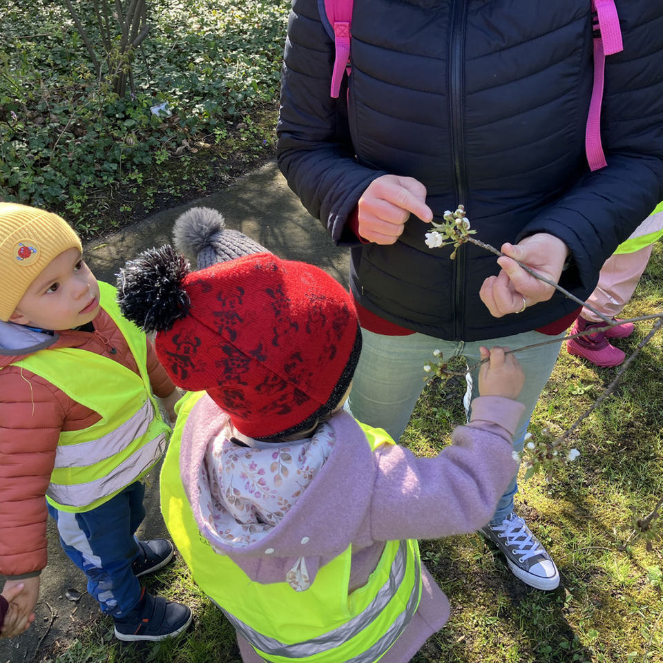 I Spy - Botanical Garden