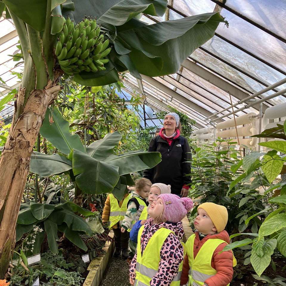 I Spy - Botanical Garden