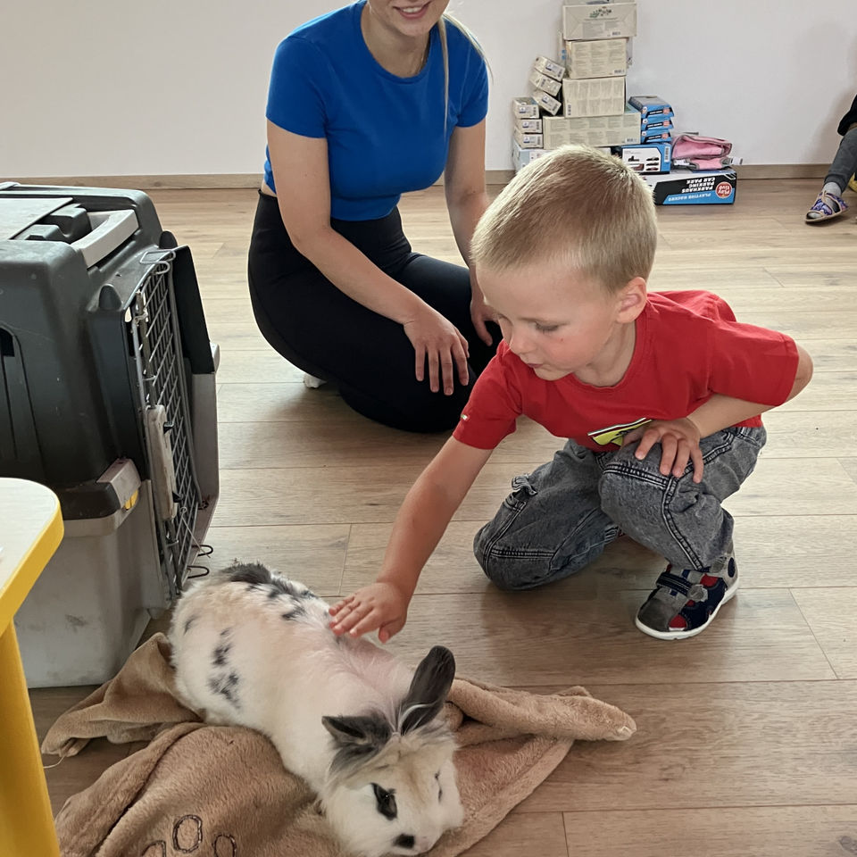 Show domácich maznáčikov