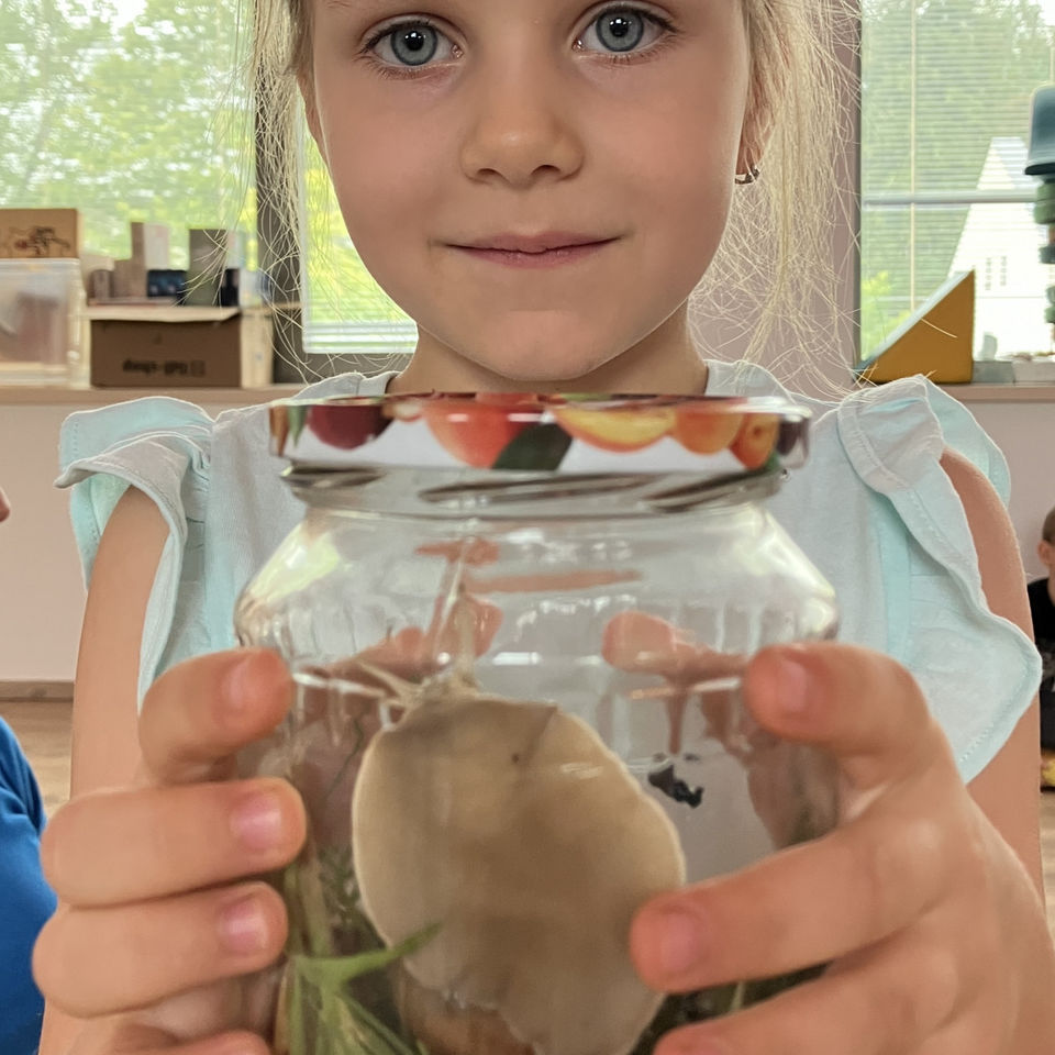 Show domácich maznáčikov