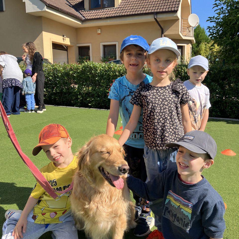 Show domácich maznáčikov