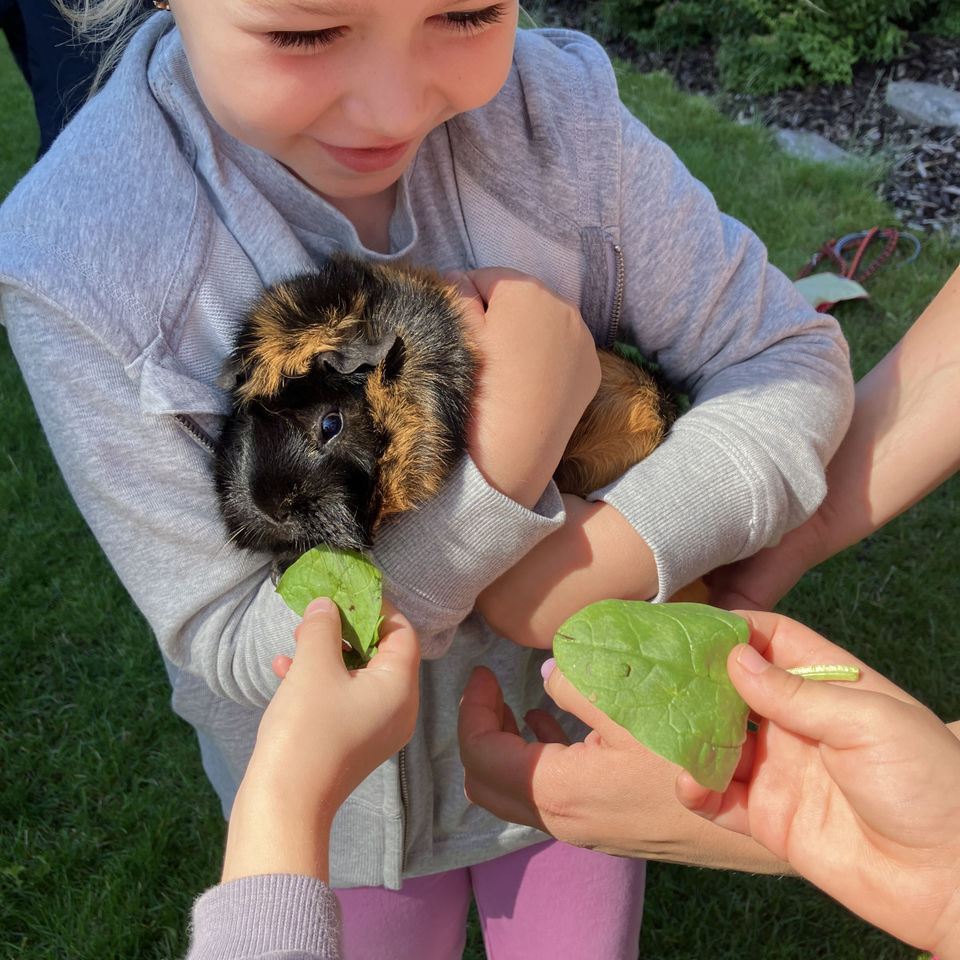 Show domácich maznáčikov