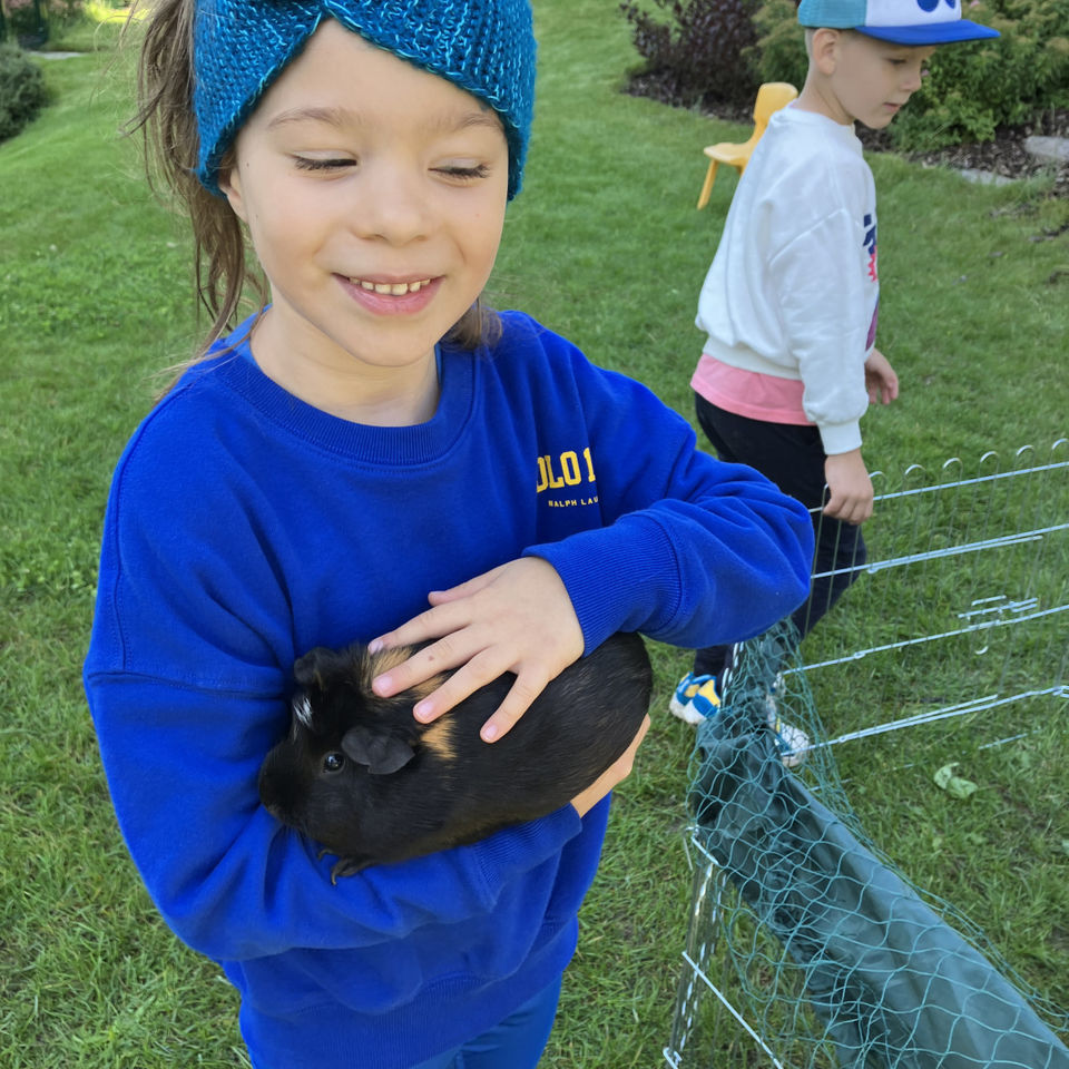 Show domácich maznáčikov