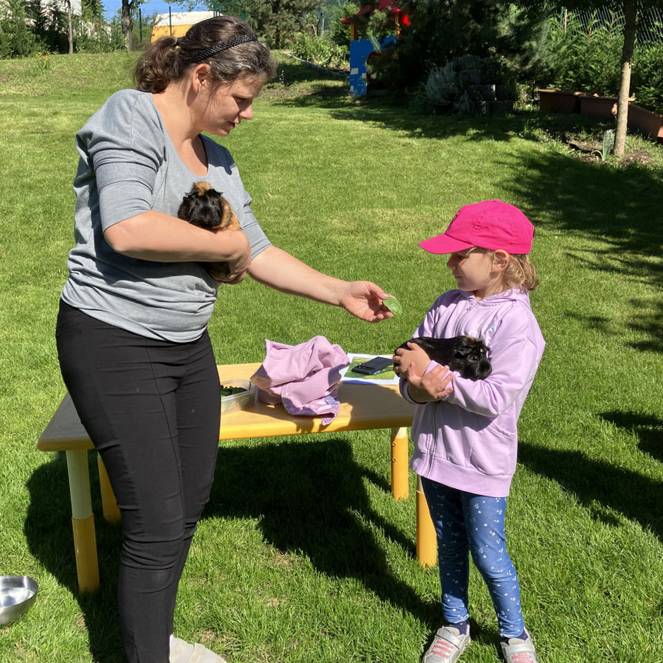 Show domácich maznáčikov