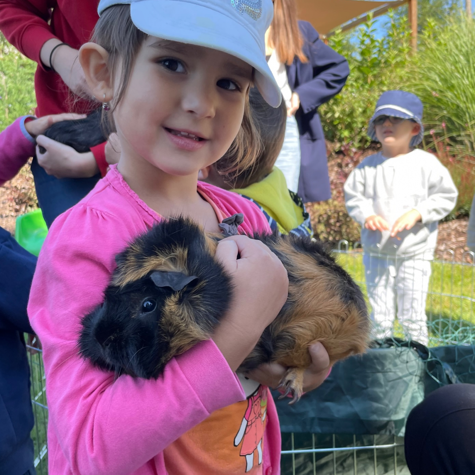 Show domácich maznáčikov