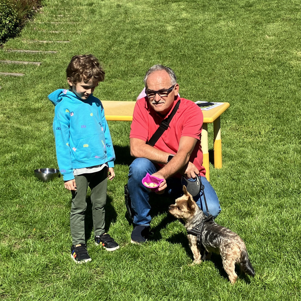 Show domácich maznáčikov