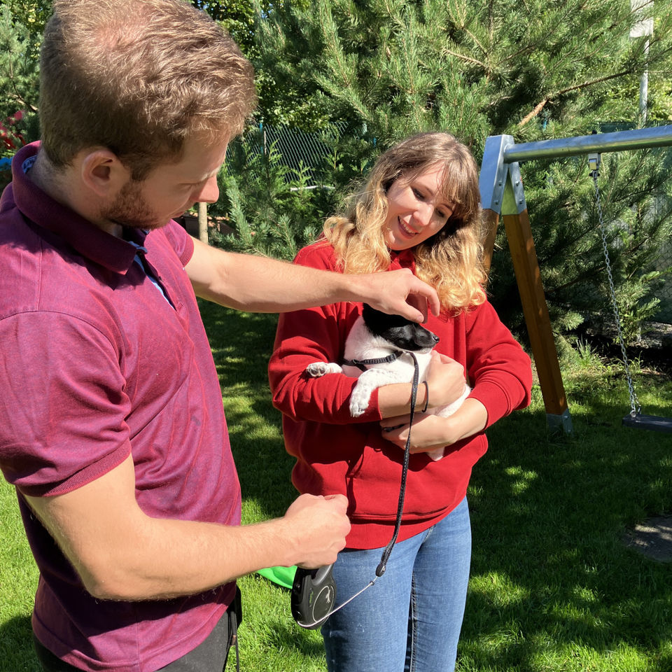 Show domácich maznáčikov