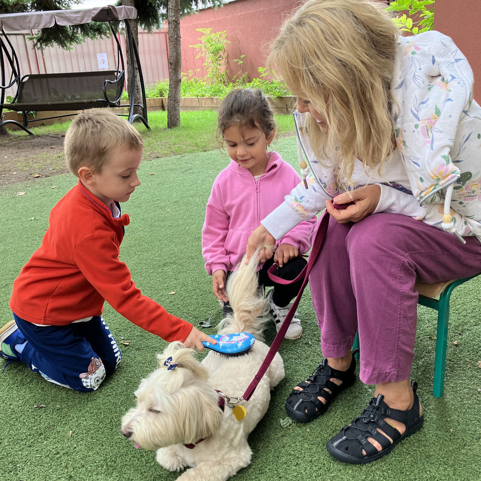 Show domácich maznáčikov