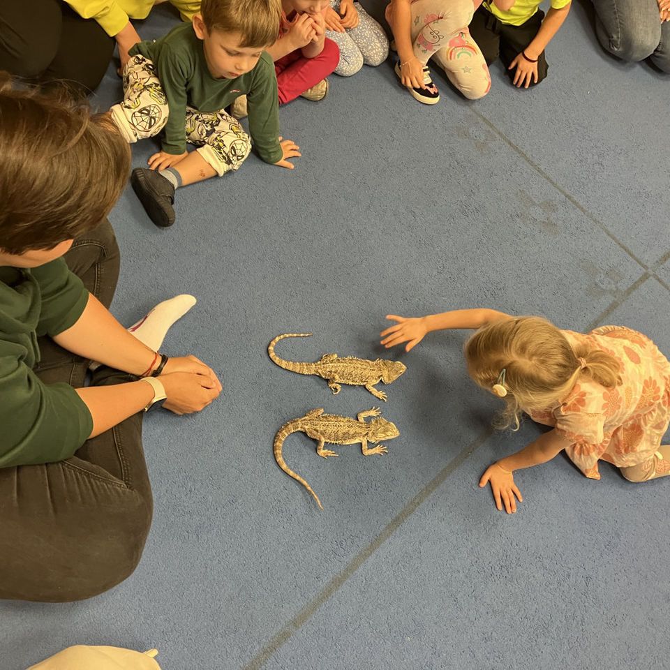 Show domácich maznáčikov