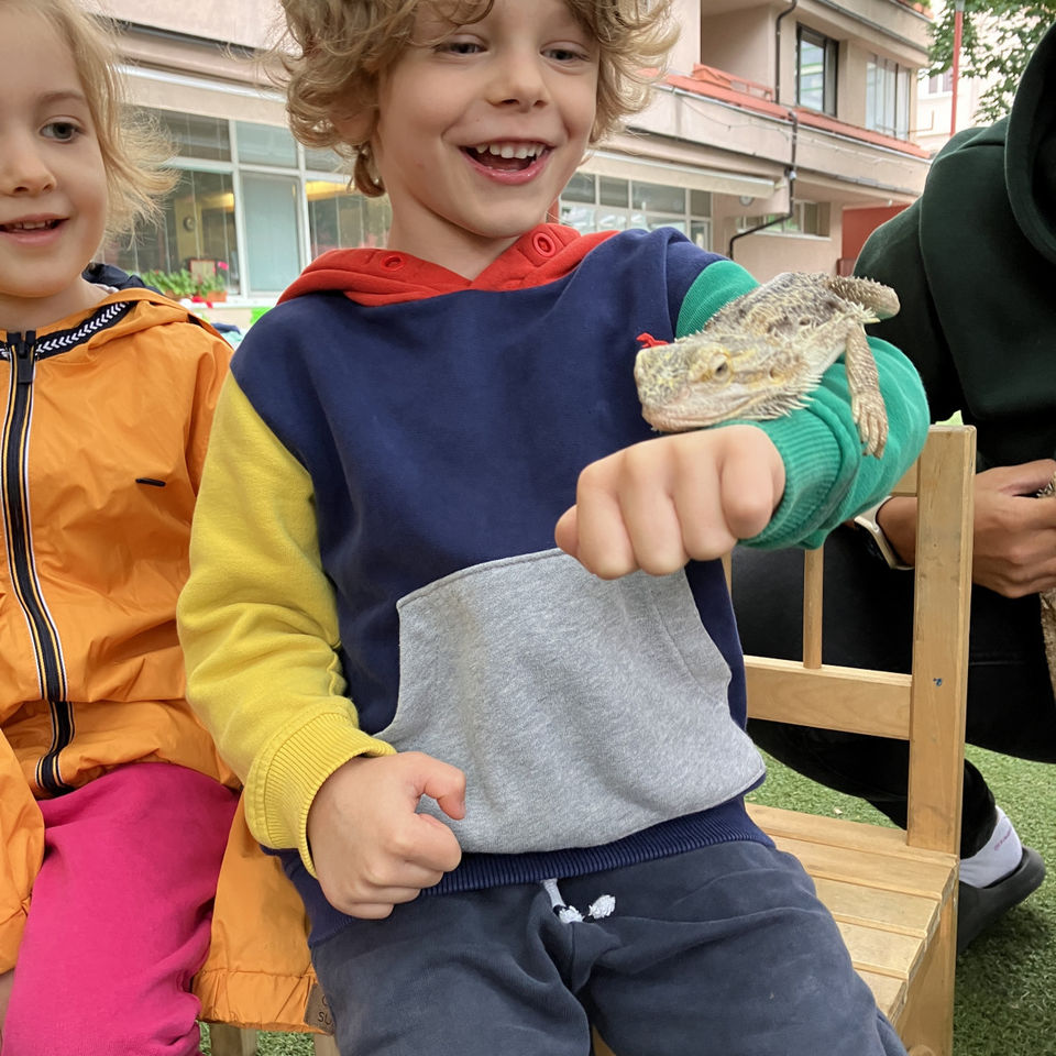 Show domácich maznáčikov