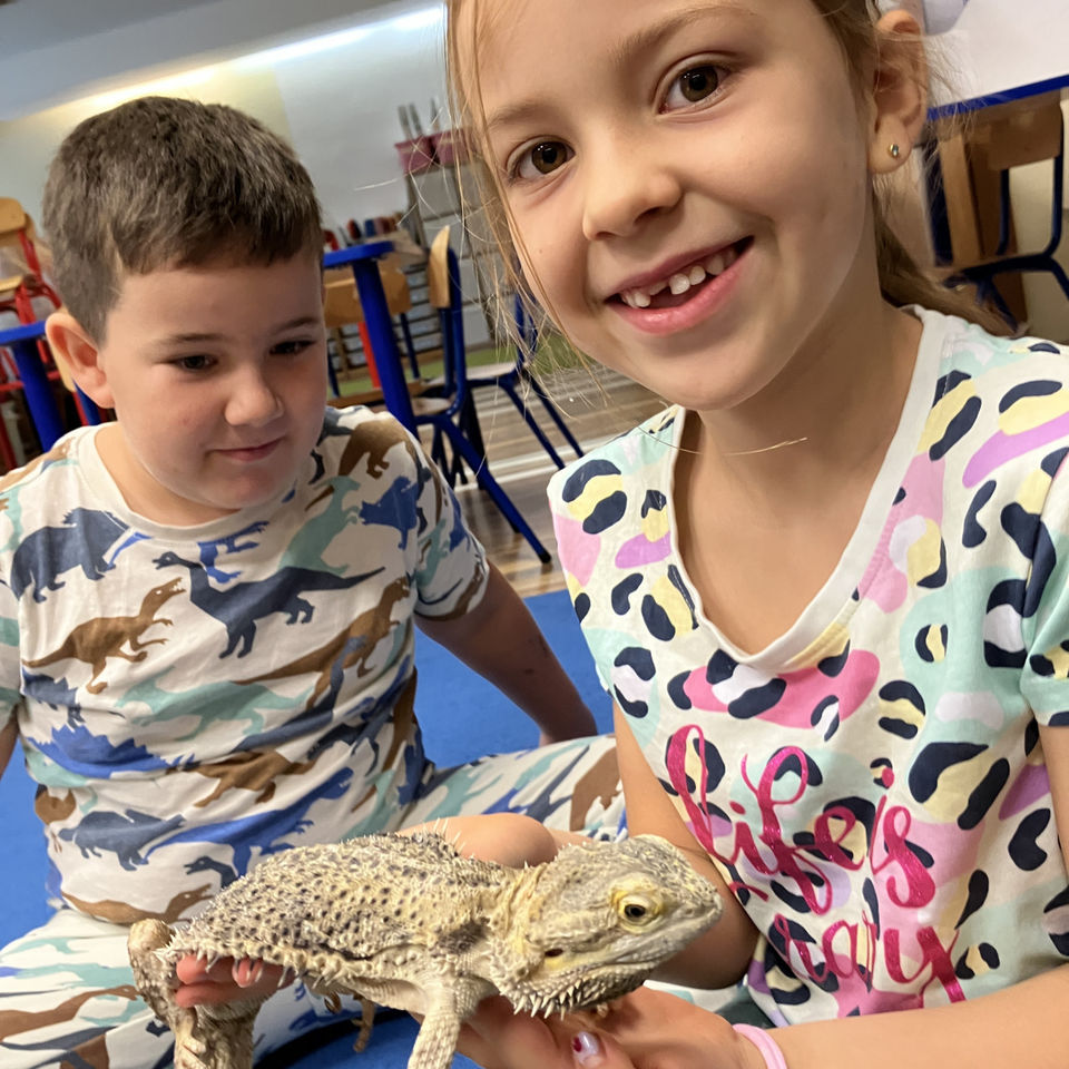 Show domácich maznáčikov