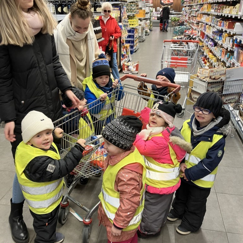 Shopping and Cooking