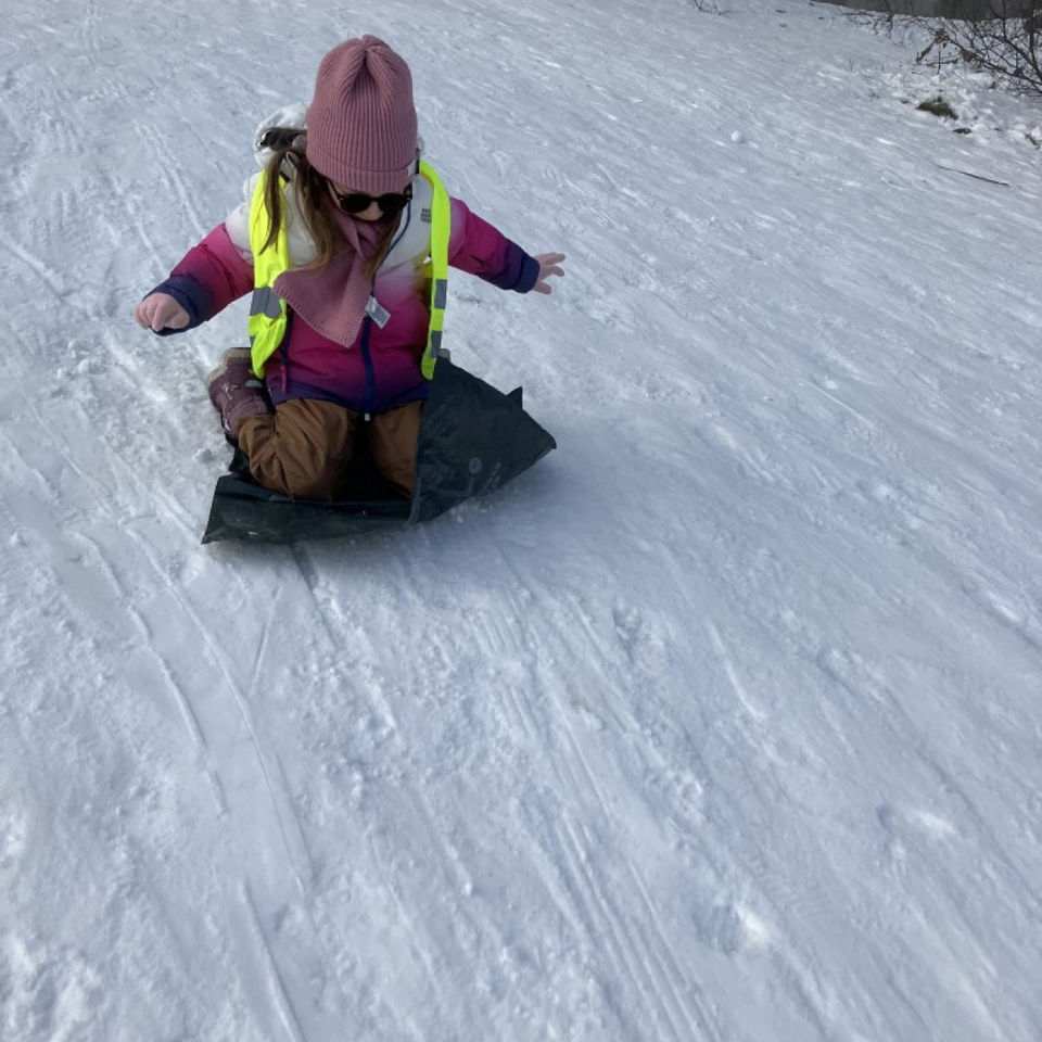 Sledging fun