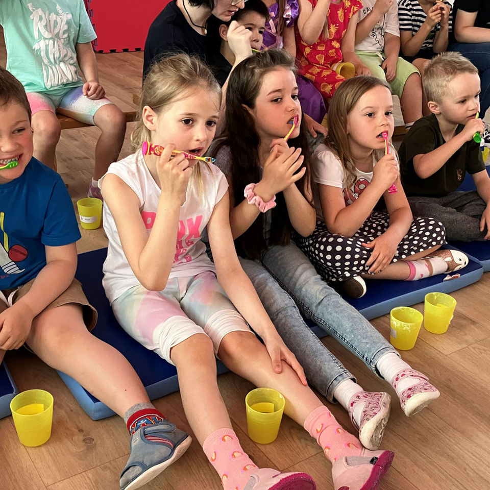 Workshop Clean Teeth