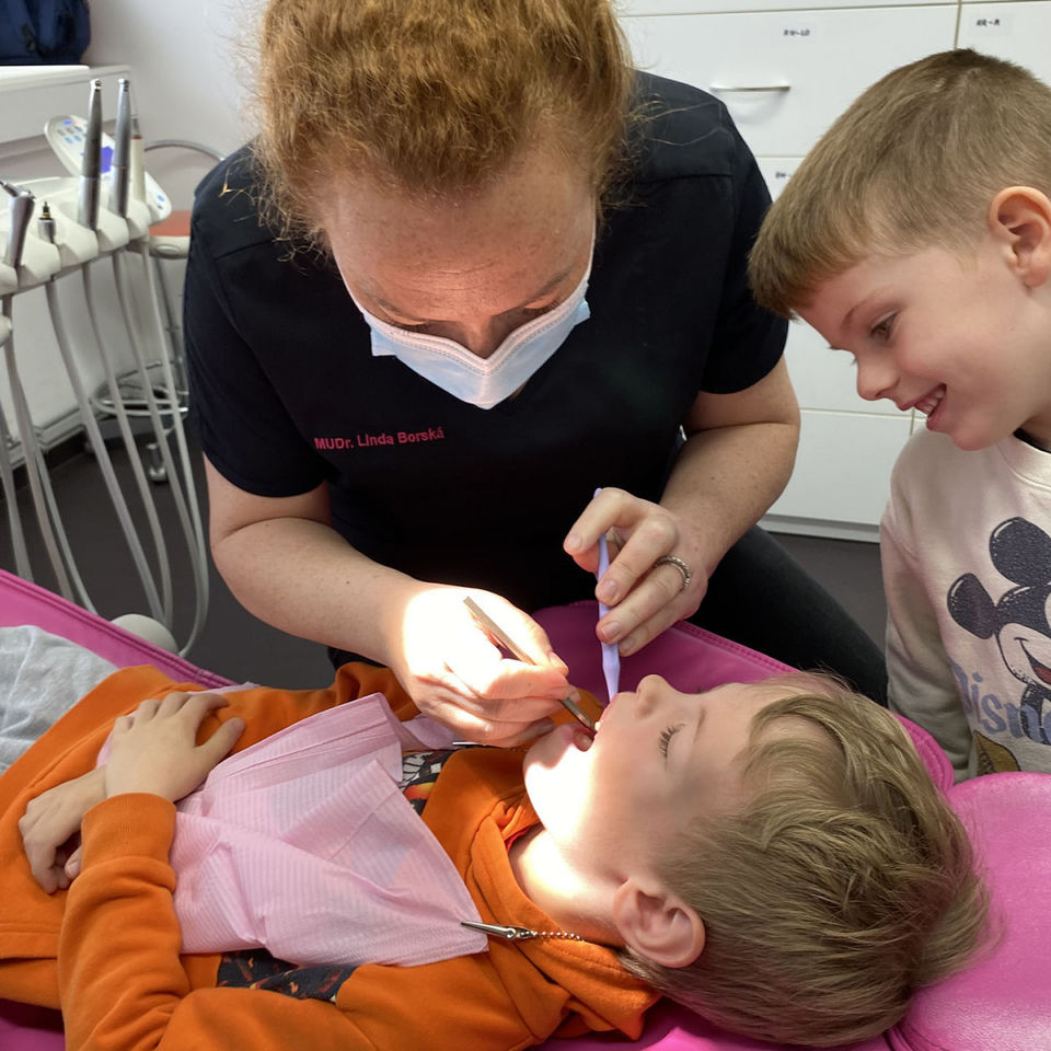 Svet práce a povolaní