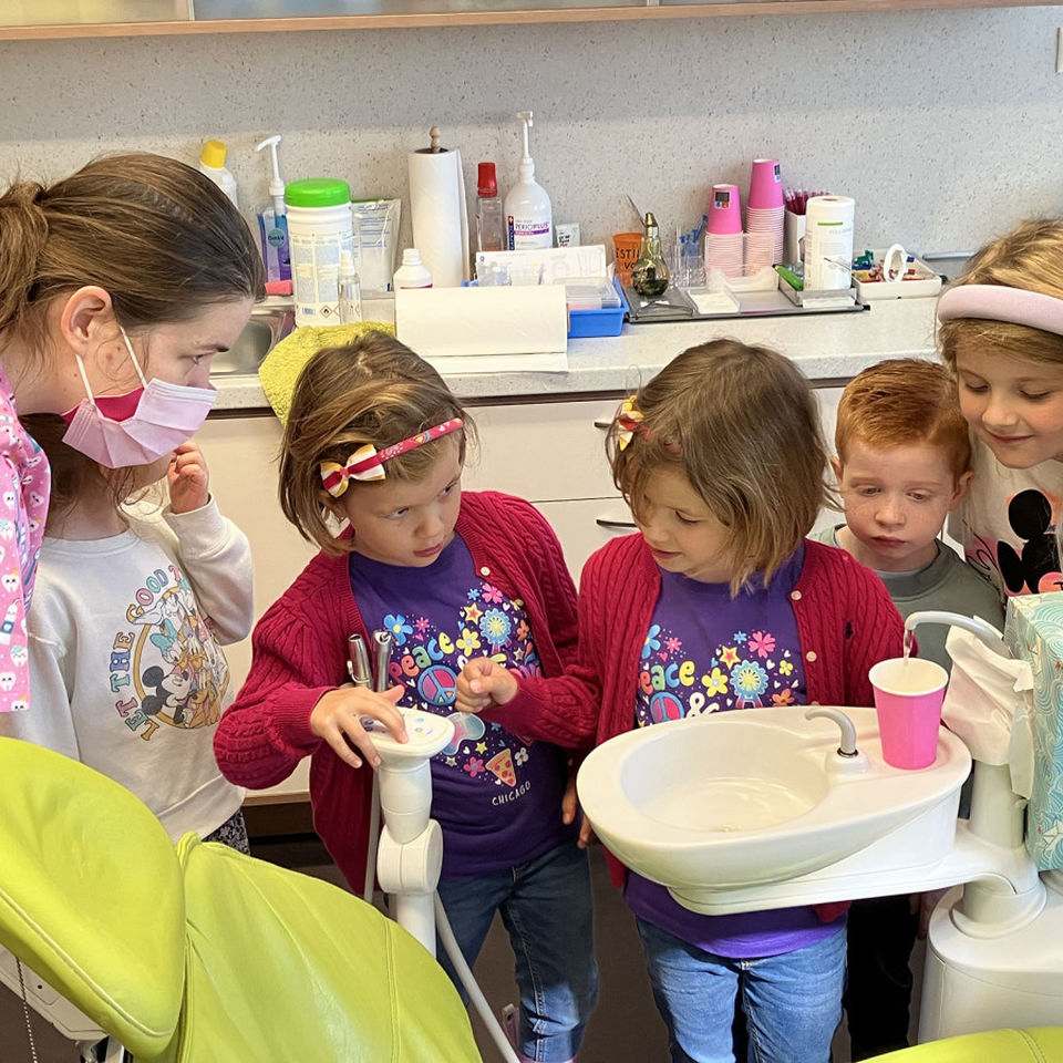 Svet práce a povolaní