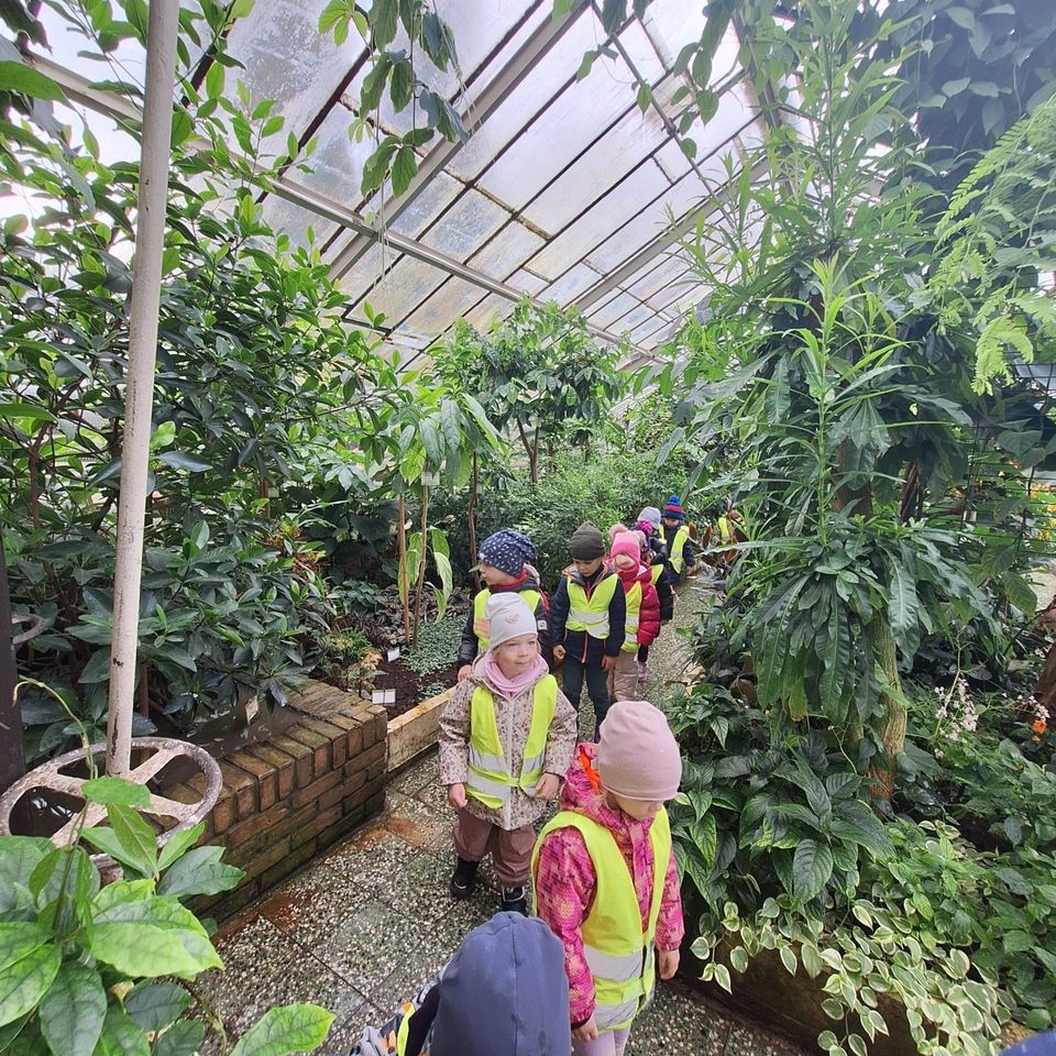 Botanical garden