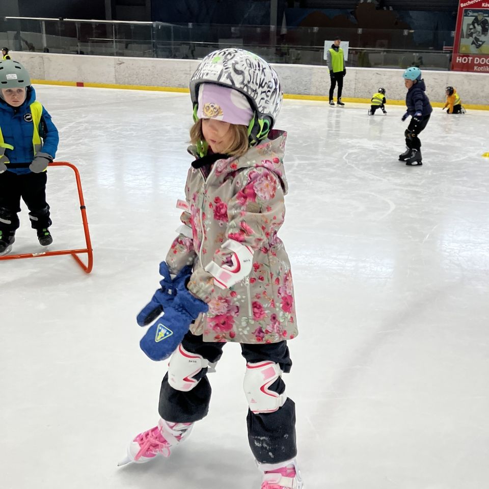 Kurz ľadového korčuľovania